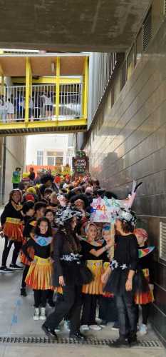 carnaval2025 foto22