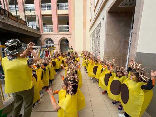 carnaval2025 foto28