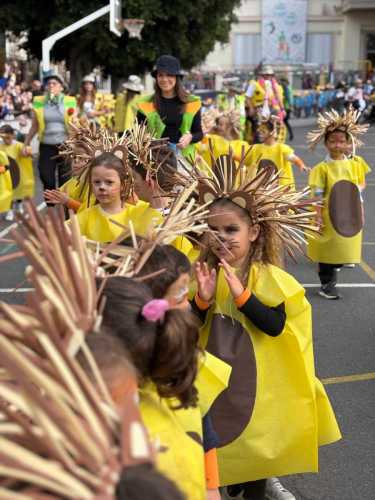 carnaval2025 foto35